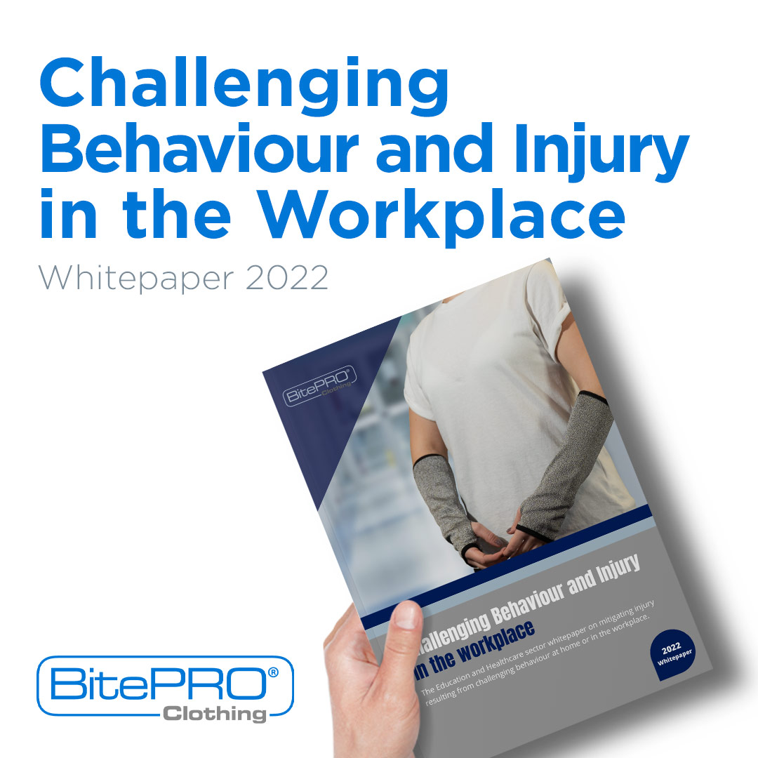 challenging behaviour survey report