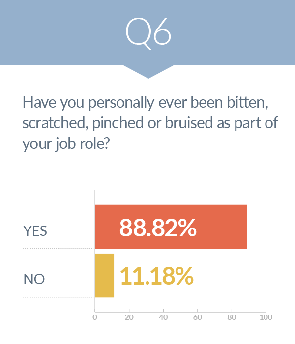 survey - risk of human bites 6